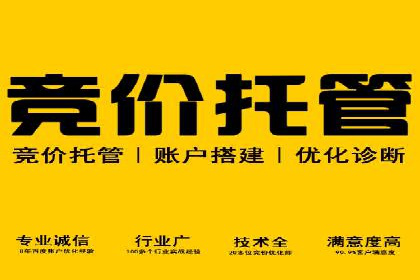 百度竞价推广成功案例：快速提升品牌知名度